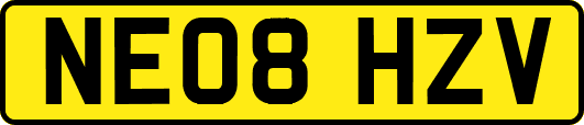 NE08HZV