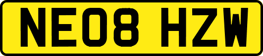 NE08HZW