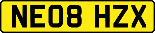 NE08HZX