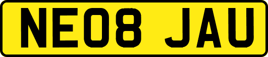 NE08JAU