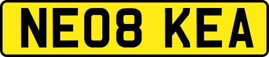 NE08KEA