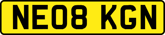 NE08KGN