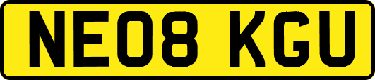 NE08KGU