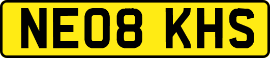 NE08KHS