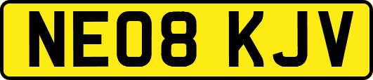 NE08KJV