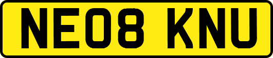 NE08KNU