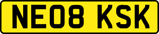 NE08KSK