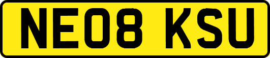 NE08KSU