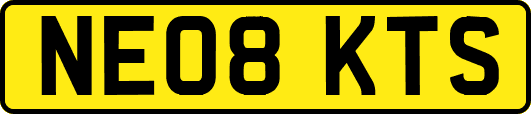NE08KTS