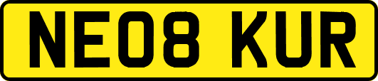 NE08KUR