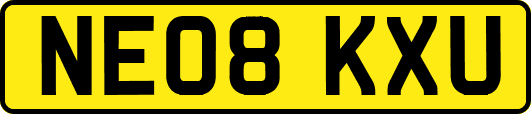 NE08KXU
