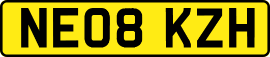 NE08KZH