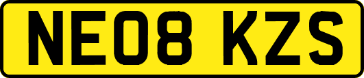 NE08KZS
