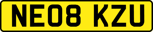 NE08KZU