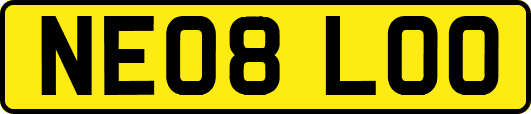 NE08LOO