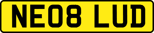 NE08LUD