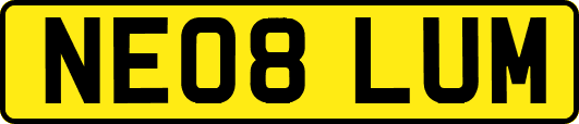 NE08LUM