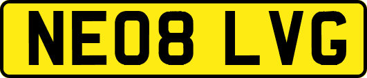NE08LVG