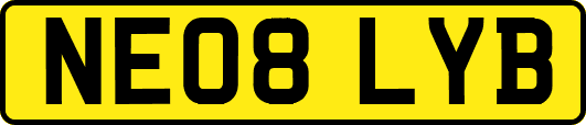 NE08LYB