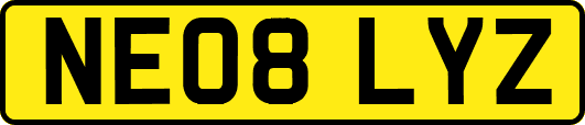 NE08LYZ