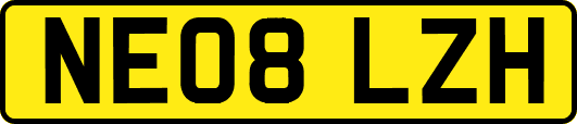 NE08LZH