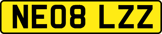 NE08LZZ