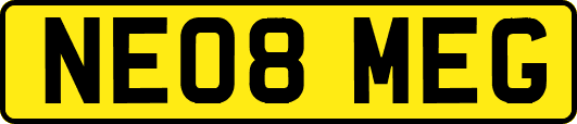 NE08MEG