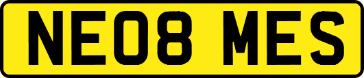 NE08MES