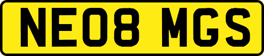 NE08MGS