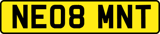 NE08MNT