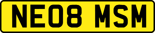 NE08MSM