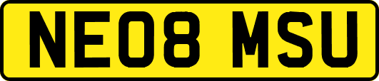 NE08MSU
