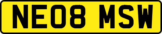NE08MSW