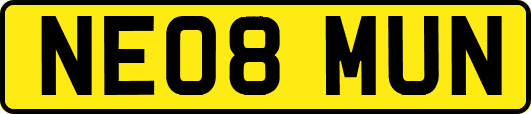 NE08MUN