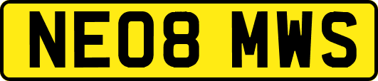 NE08MWS