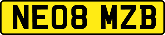 NE08MZB