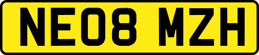 NE08MZH