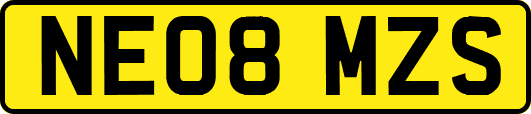 NE08MZS