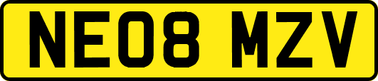 NE08MZV