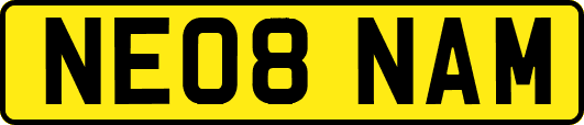 NE08NAM