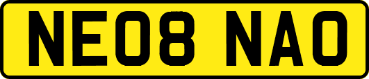NE08NAO