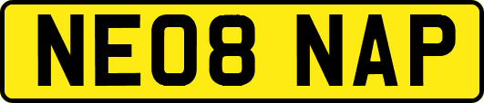 NE08NAP