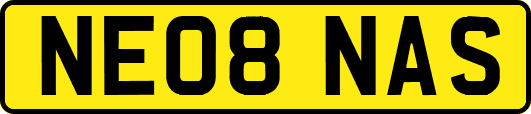 NE08NAS