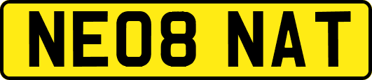 NE08NAT