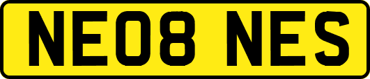 NE08NES