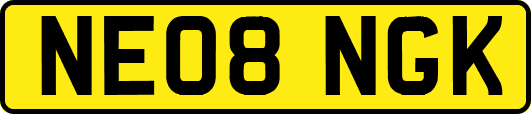 NE08NGK