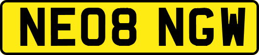 NE08NGW