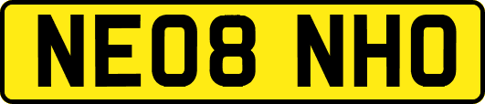 NE08NHO