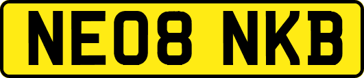 NE08NKB