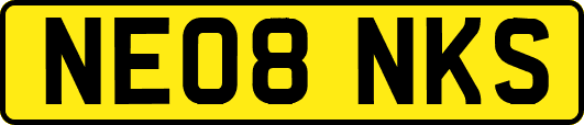 NE08NKS